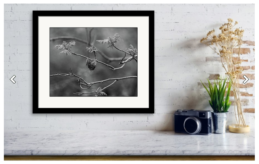 Holiday sales 2020, gift ideas, home decor, framed wall art, nature photography