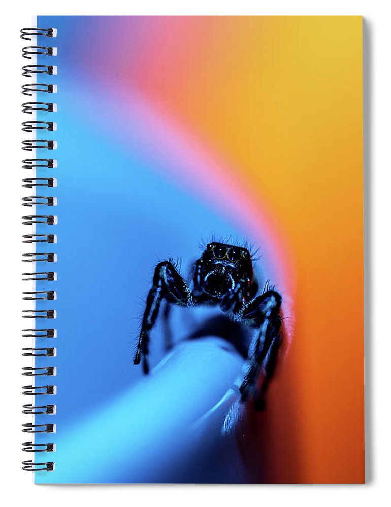 Holiday sales 2020, gift ideas, notebooks, macro photography
