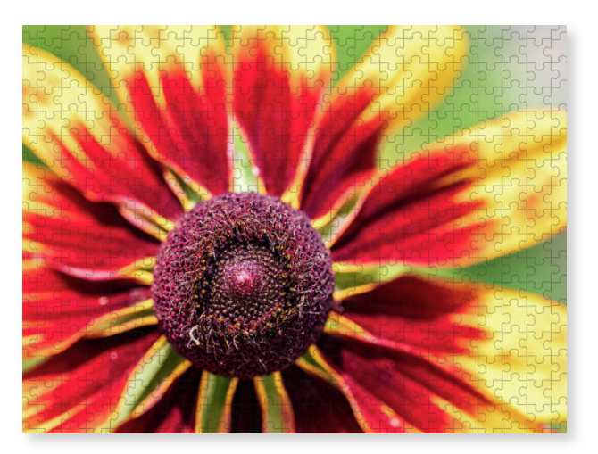 Holiday sales 2020, gift ideas, puzzles, flower photography