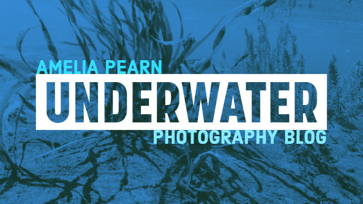 Underwater photography Blog Pike County PA Photographer