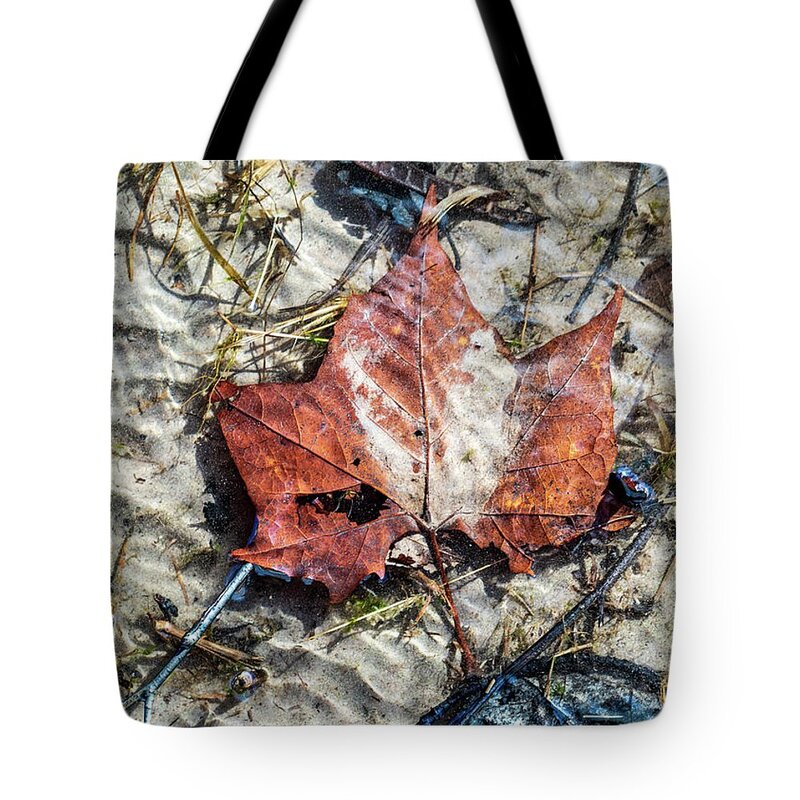Holiday sales 2020, gift ideas, reusable shopping tote bags, underwater photography