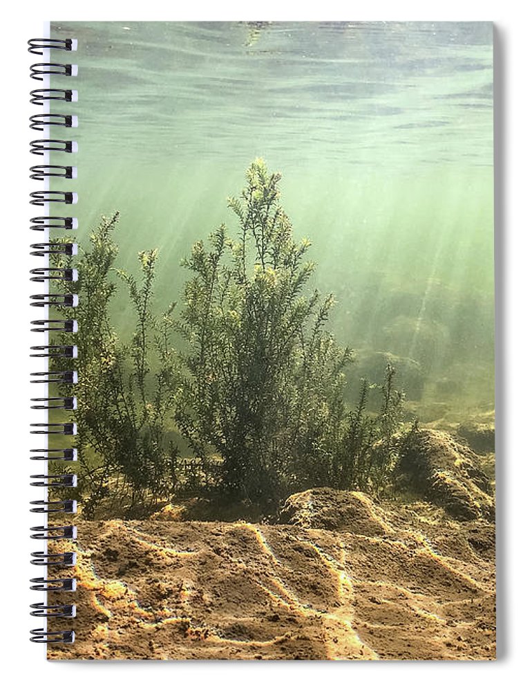 Holiday sales 2020, gift ideas, notebooks, underwater photography