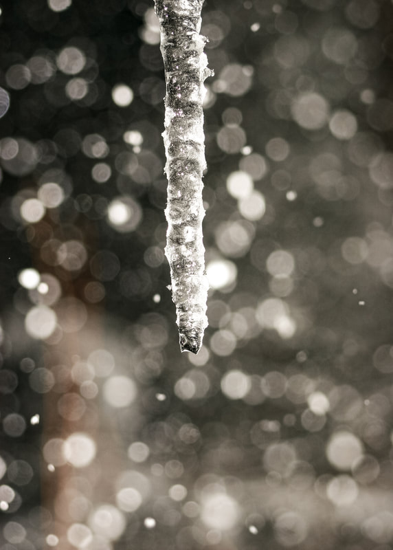 winter photography tips icicles and snow