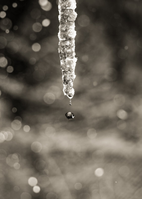 winter photography tips icicles 